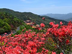 -永州阳明山国家森林公园