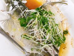 -大庆美食·顺德鱼生顺德菜