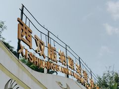 -西双版纳原始森林公园