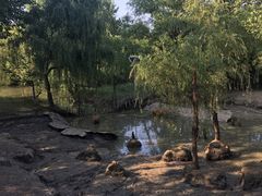 -溱湖国家湿地公园