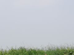 -焦岗湖旅游度假区