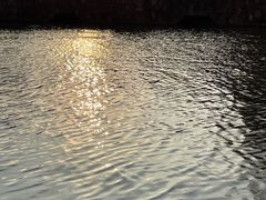 -上海滨江森林公园