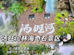-汤旺河林海奇石景区