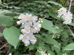 -碓臼峪自然风景区