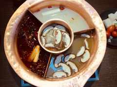 -老诚一锅羊蝎子(黄寺大街店)