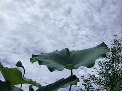 -金华体育中心游泳馆