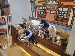 -大自然醉鹅·铁锅火焰鹅(上海联洋店)