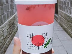 -树夏(锦里店)