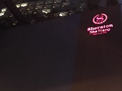 -芽庄喜来登水疗酒店