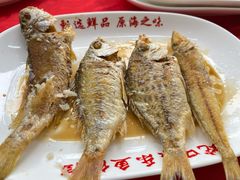 -蛇口康乐快餐鱼仔档(翠苑小区店)