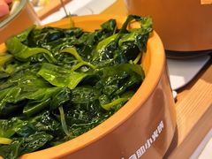 -龍歌自助小火锅(崂山丽达店)