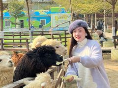 -盈香心动乐园