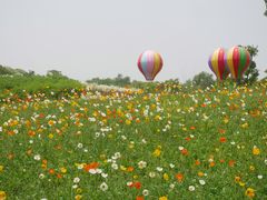 -同里国家湿地公园