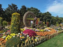 -上海共青森林公园