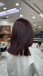 点击看大图 -KS COLOUR漂色·染发·画染