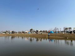 -春花秋色城市公园