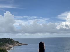 -广东惠东海龟国家级自然保护区
