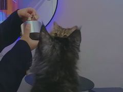 -极木²邸 人与宠物·互动社区