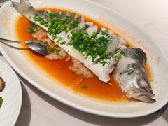 -船歌·鱼水饺青岛菜(闽江二路店)