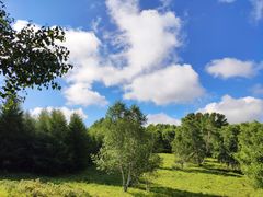 -御道口草原森林风景区