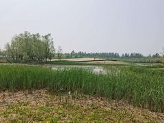 -东郊湿地公园