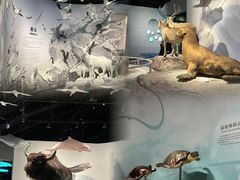 -中国湿地博物馆
