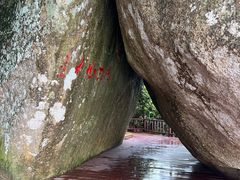 -亚龙湾热带天堂森林公园