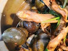 -食爺炭炉鸡煲·烧烤