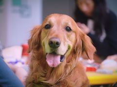 -1013 PET SHOP 宠物商店(近铁城市广场店)