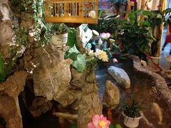 -多哥水傣味餐厅(司马巷店)