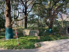 -杭州植物园