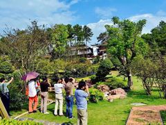 -铁山坪森林公园