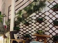 -蜜舍咖啡(洋人街店)