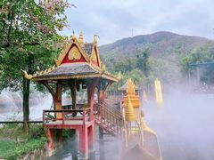 -西双版纳原始森林公园