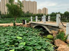 -前关湿地公园