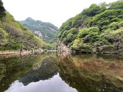 -少华山国家森林公园
