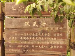 -合肥滨湖国家森林公园