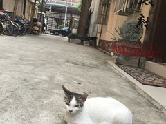 门面-燕庭·纯燕窝·甜品下午茶(南京西路店)