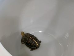 -九忠祥小笼馆(保利时光里店)
