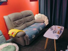 -浣熊部落ps4 ps5 switch 电玩(茶店子店)