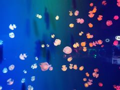 -成都浩海立方海洋公园