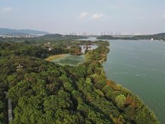 -上海市保健医疗中心