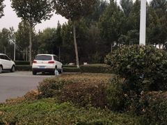 -东营·森林乐园