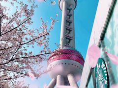 景点-东方明珠广播电视塔