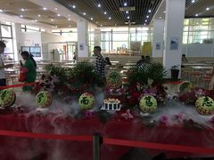 -复旦张江校区食堂