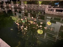 -苏州吴宫泛太平洋酒店