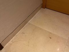 -佛山岭南天地康得思酒店