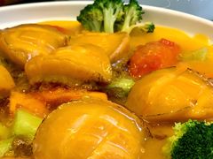 -大树头森林餐厅(番禺广场店)