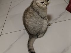 -横店电影城(同至人店)