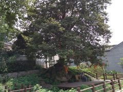 -石塘人家